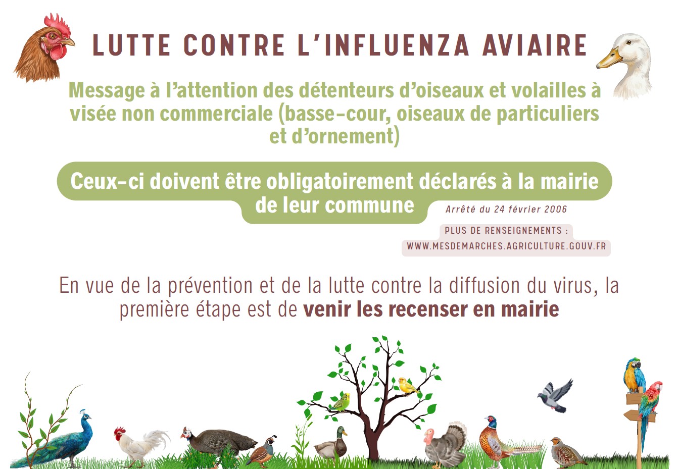 LUTTE CONTRE LINFLUENZA AVIAIRE