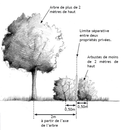 plantation3